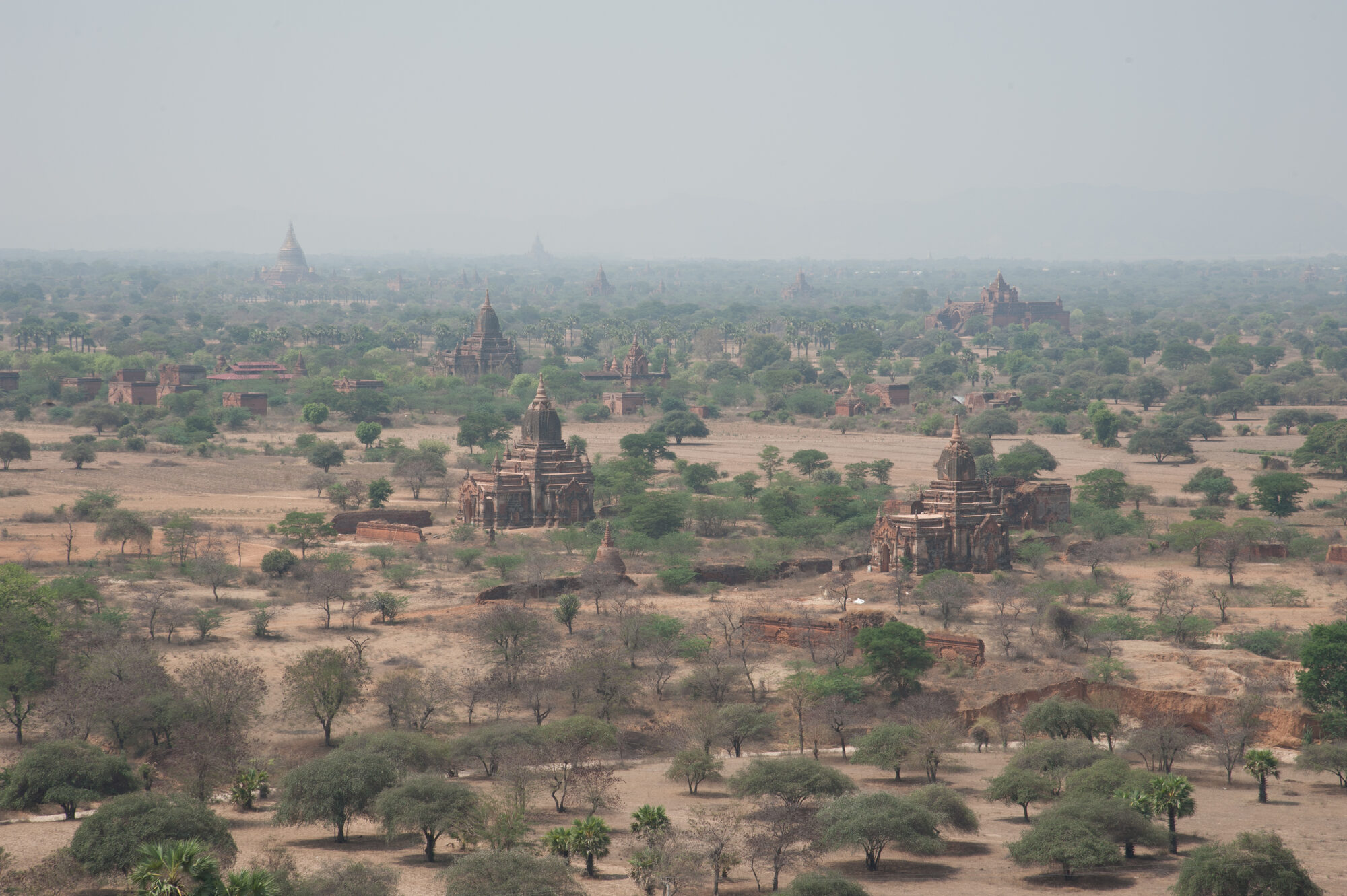 အရောင်